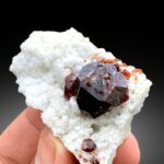 Nahaufnahme eines wohlgeformten orangefarbenen Grossular-Granatkristalls auf einer weißen Mineralmatrix.