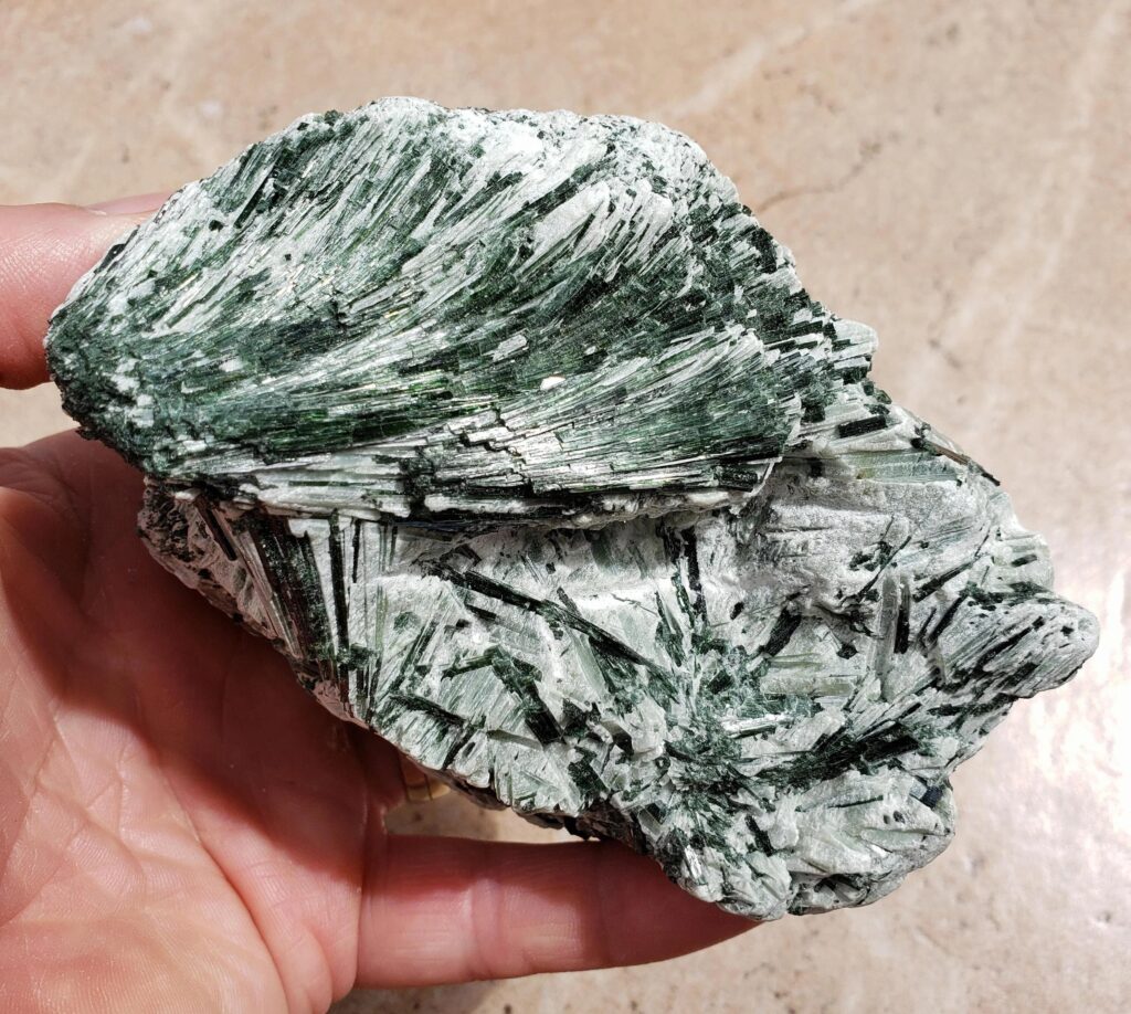Close-up of actinolite crystals in a metamorphic rock specimen, displaying characteristic green bladed and fibrous habit.