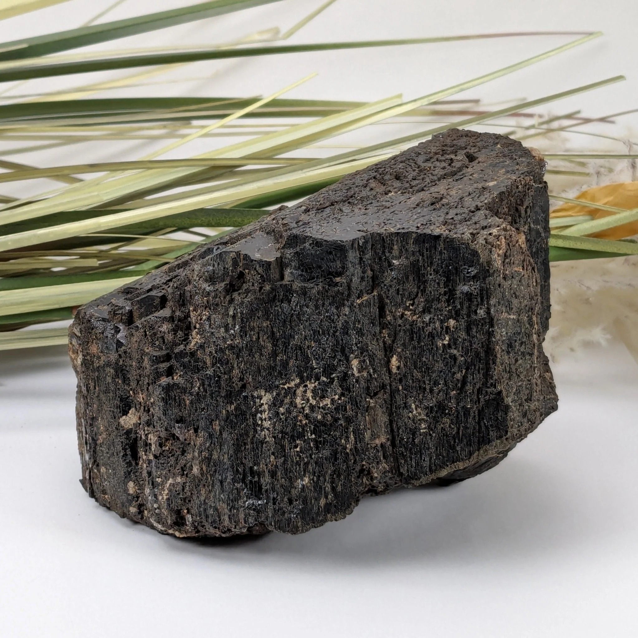 Actinolite Mineral Guide: Properties, Nephrite Jade & Geologic Origins