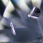 Negative crystals: small specks of foreign material trapped within the gem.