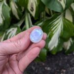 Eine Hand hält einen polierten ovalen Mondstein-Cabochon im Freien und präsentiert einen leuchtend blauen adulareszenten Schimmer vor einem verschwommenen grünen Blattwerkhintergrund.