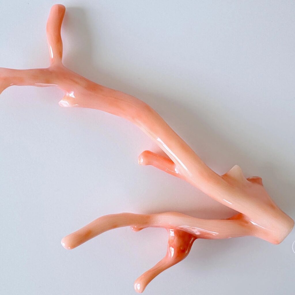 深海粉 / 深海珊瑚