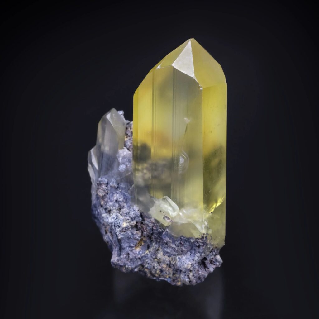 A high-quality mineral specimen of Anglesite featuring a large, prismatic, translucent yellow crystal with a sharp termination. The yellow crystal is anchored to a dark, metallic grey Galena matrix, clearly illustrating the relationship between the primary lead ore and the secondary sulfate mineral