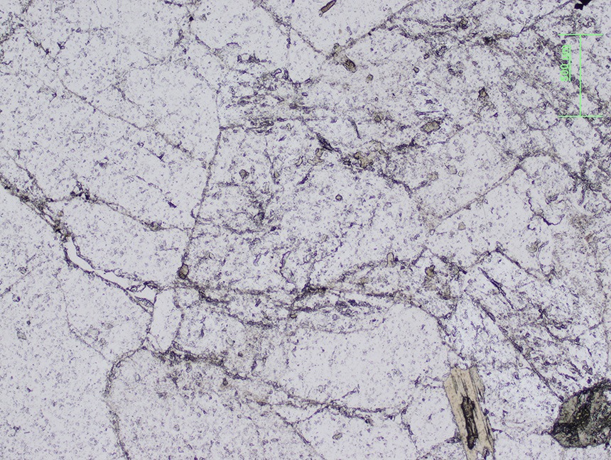 Orthoclase and plagioclase