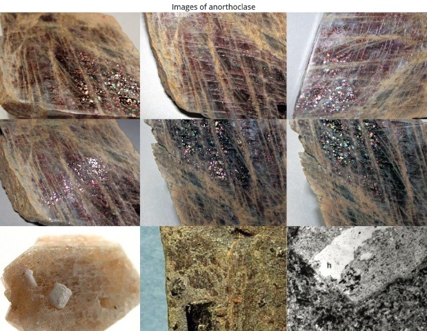 아노르토클레이스 이미지