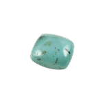 Prosopite