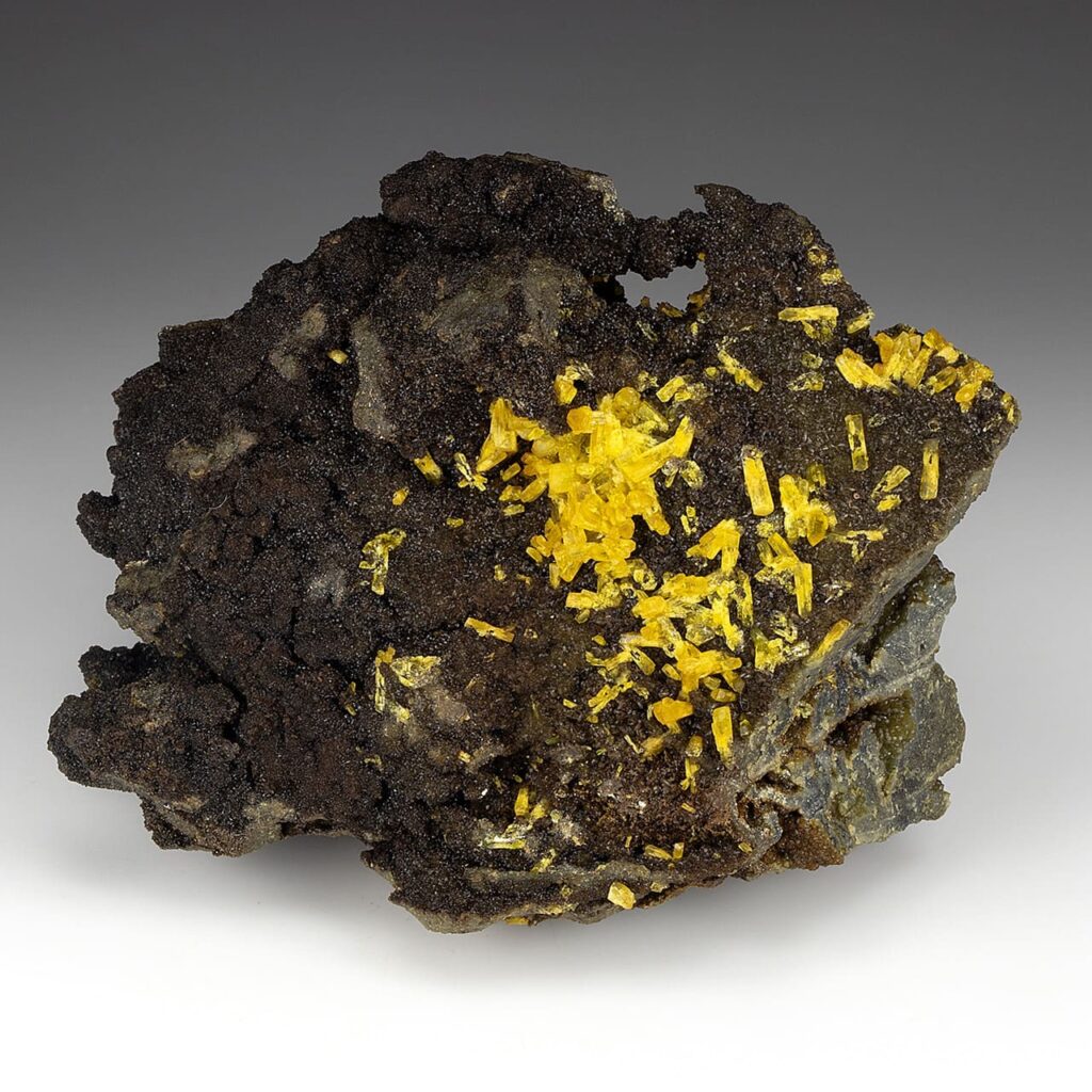 Vibrant yellow legrandite crystal aggregates dispersed across a dark brown limonite matrix.