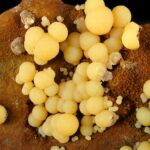 Traubige Mimetesit-Kristalle in blassgelben Farbtönen auf einer braunen, eisenhaltigen Gossan-Matrix.