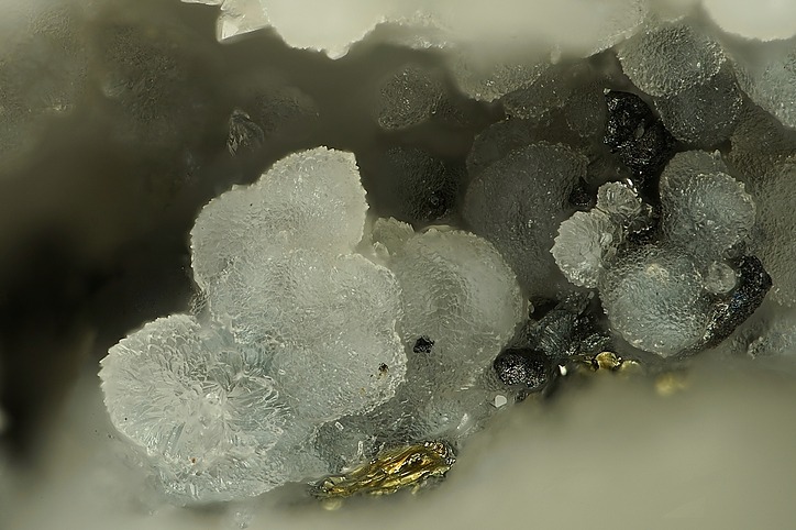 Close-up macro photograph of translucent white Prosopite mineral specimens showing characteristic radiating botryoidal crystal structures on a dark matrix.