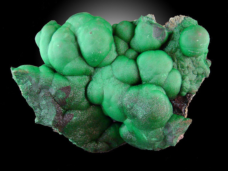 Malachite Katanga, DR Congo This is a botryoidal malachite formation.