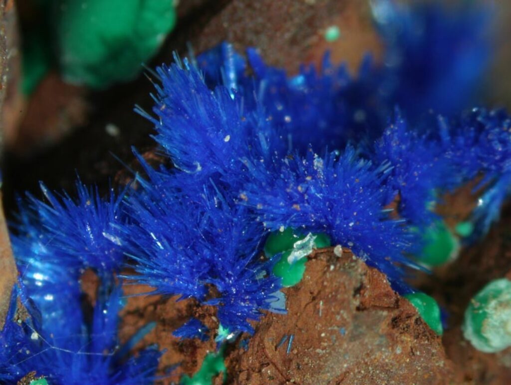 An extreme close-up of a geological specimen showcasing electric blue, slender, radiating acicular crystals of azurite intergrown with small globules of green malachite on a rough, reddish-brown host rock.