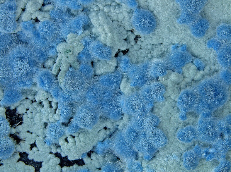 Shattuckite, Kaokoveld Plateau, Kunene Region, Namibia