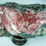 Hodgkinsonite Franklin, Sussex County, New Jersey, USA Hodgkinsonite. Specimen is from the collection of Ewald Gerstmann (1972). Specimen is ~4cm wide.