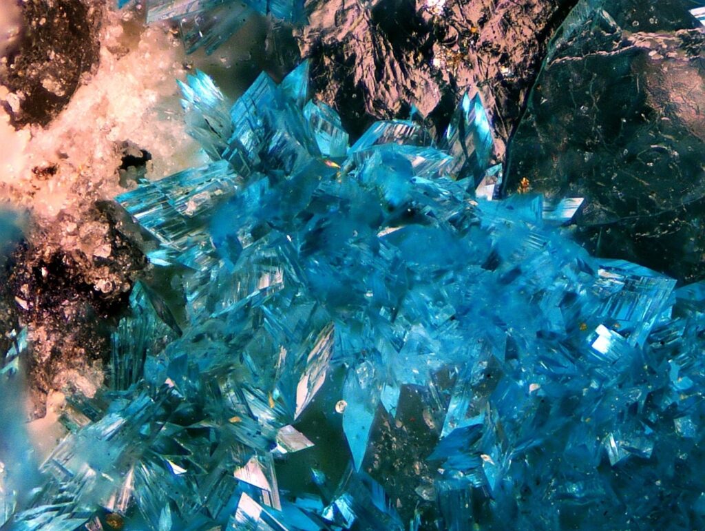 Bishop Mine, Lynch Station, Campbell County, Virginia, USA