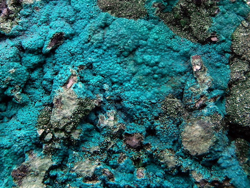 Botryoidal turquoise with pseudomalachite on quartz.