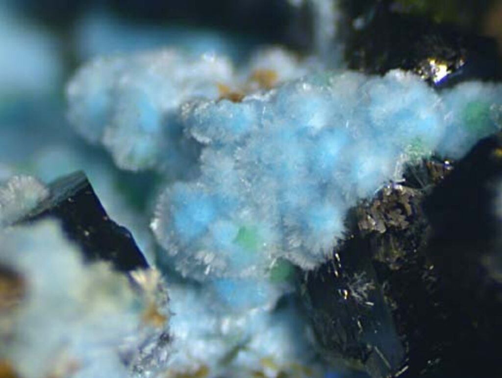 Mikroaufnahme von hellblauem Ceruleit, die zarte, nadelförmige (akikuläre) Kristallaggregate zeigt, die auf einer dunklen Mineralmatrix aufgewachsen sind.