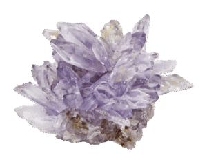Creedite