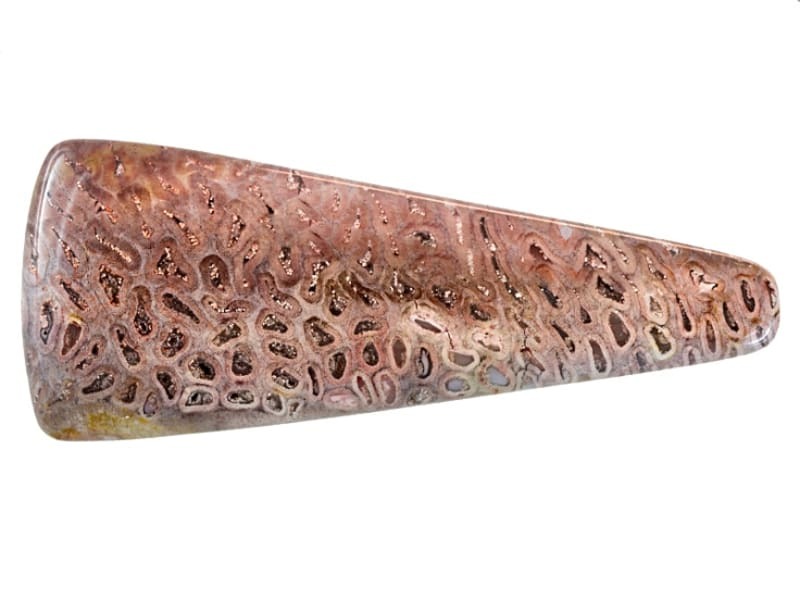 Fossil Jasper