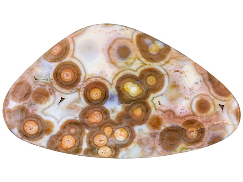 Orbicular Jasper