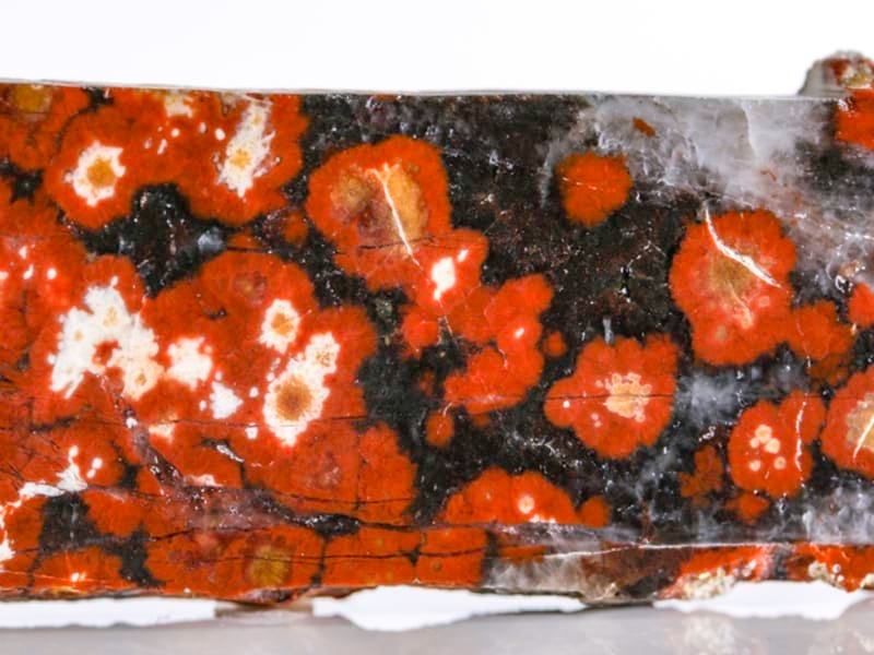 Poppy or Flower Jasper