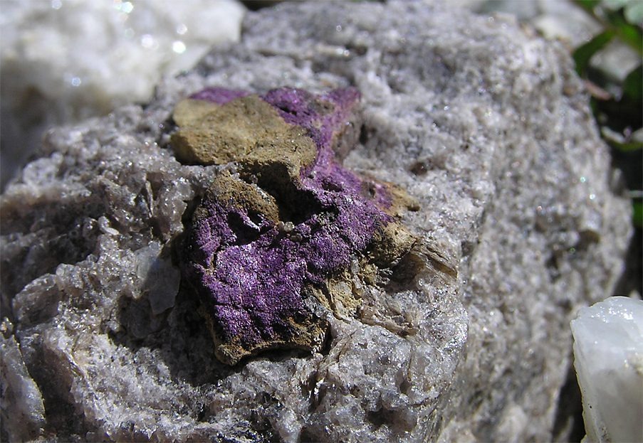 A purpurite mass on quartz, lightly treated with oxalic acid to brighten it. Brown Thurston prospect, Rumford, Oxford County, Maine, USA.