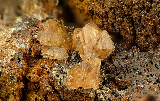 Mellite, tambang batu bara Bílina, Bílina, Distrik Teplice, Wilayah Ústí nad Labem, Republik Ceko. Mellite pada siderit, bidang pandang (FOV) 6 mm, koleksi Z. Dvořák.