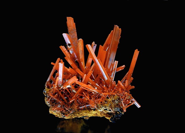 호주 타스메니아 웨스트코스트 자치구, 제한 광산 지구, 던다스 광산 지대, 애들레이드 광산(Adelaide Mine)에서 출토된 홍연석 표본입니다. 애들레이드 마이닝 컴퍼니(The Adelaide Mining Company)의 로고 모델이 된 표본으로, 높이는 5.2 cm이며 최대 4 cm 길이에 달하는 사방으로 독립되어 성장을 완결한(fully terminated) 결정들이 여러 개 발달해 있습니다. 오스트리아의 안톤 바츨(Anton Watzl) 컬렉션 소장품입니다.
