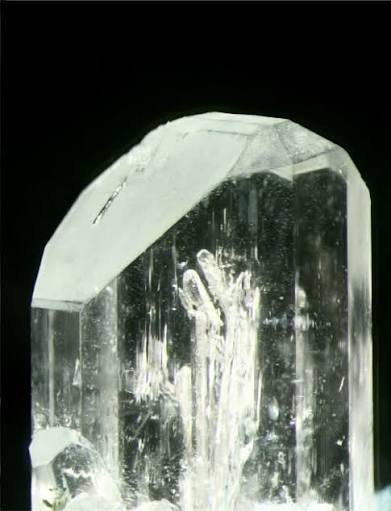 pecolite