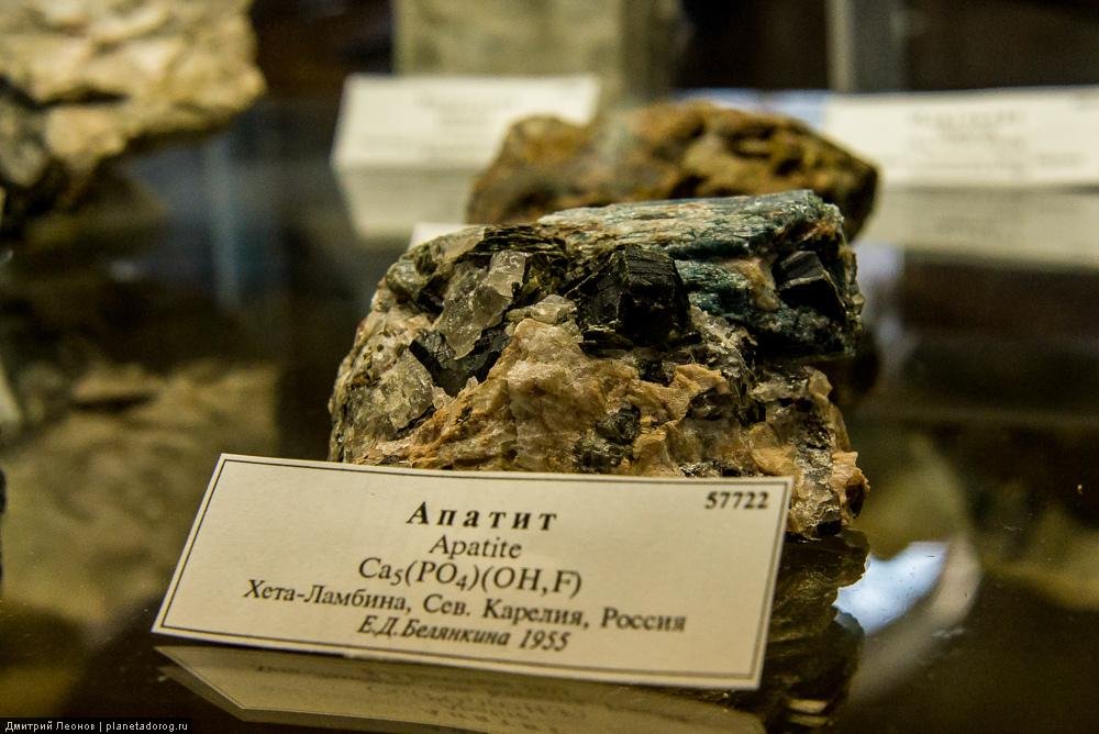 Apatit-Mineralprobe mit charakteristischen Kristallformen in einer Mineralsammlung.