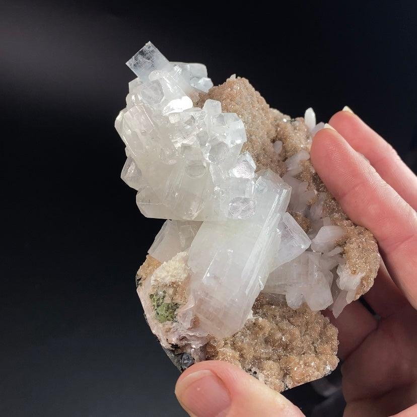 Clear and colorless apophyllite crystals with well-defined faces on a dark basalt matrix.