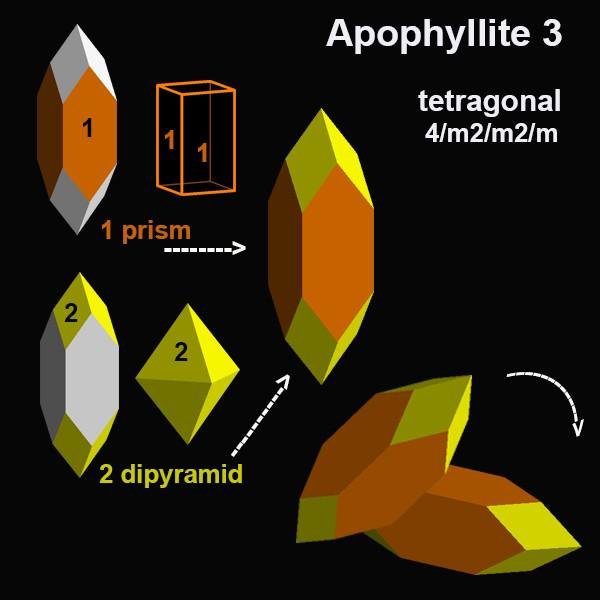 Crystallographic diagram illustrating the tetragonal prism and dipyramidal forms of apophyllite.